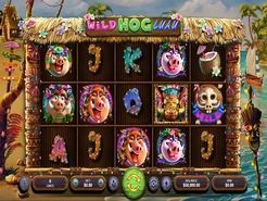 Wild Hog Luau Slots